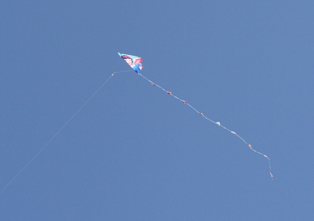 [kite7[3].jpg]