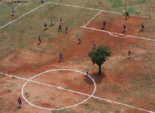 soccer_tree