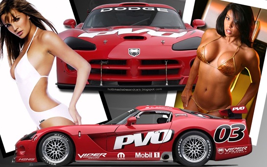 [2003_dodge_viper_competion_and_hot_w.jpg]