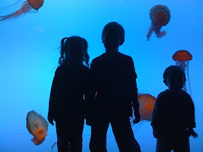 Atlanta Georgia Aquarium