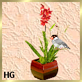 orchid_511111111111212111311 orchid_511111111111212111311