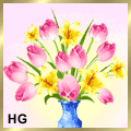 tulip_623232323232424232523 tulip_623232323232424232523