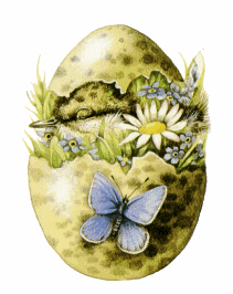 pascuas blogdeimagenes (9)
