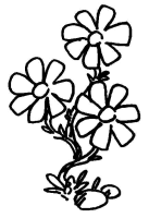 Flor-09
