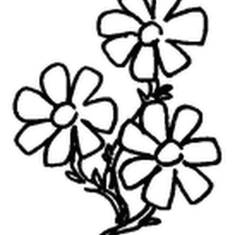 Plantillas de flores para manualidades, colorear flores