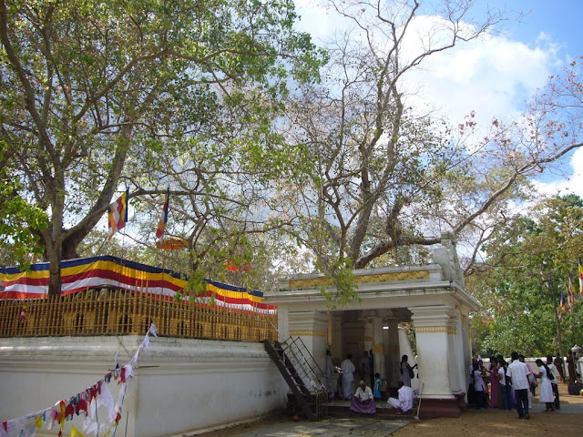 Buddha's Sacred Place, Anuradhapura - Sri Lanka Buddha's Sacred Place, Anuradhapura - Sri Lanka