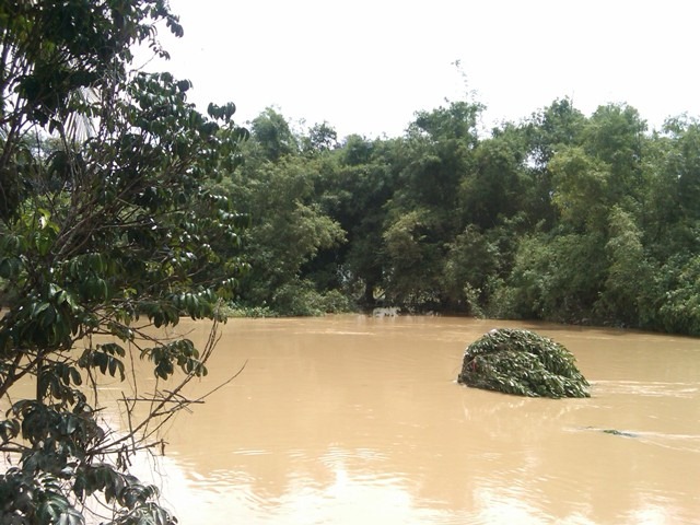 [Sungai Padang Terap (banjir bermula dari sungai ini) 1[4].jpg]