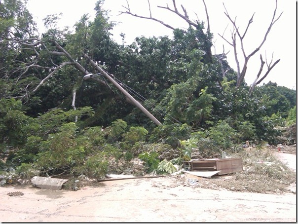 Taman TH (pokok tumbang akibat arus deras)