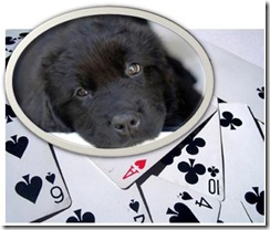 badugi poker