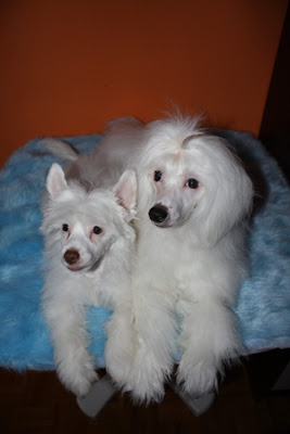 20100112_30.jpg