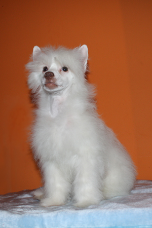 20100214_09.jpg