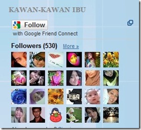 530-follower-nov2010