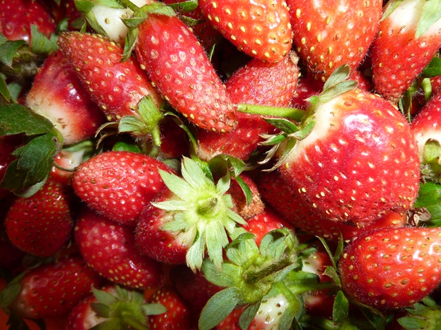 [strawberries Aug 2010 004[3].jpg]