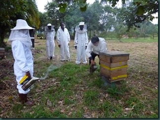 July 2010 beekeeping and KCPS 003