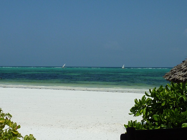 [Zanzibar 082[3].jpg]