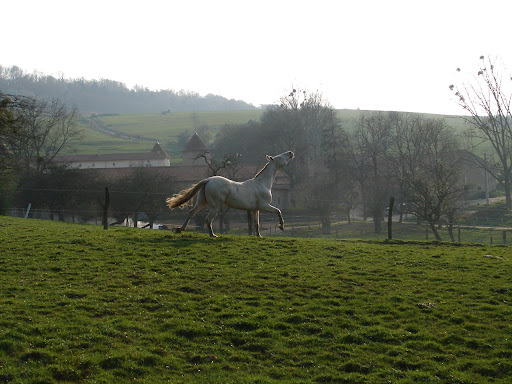 DSC02246.JPG