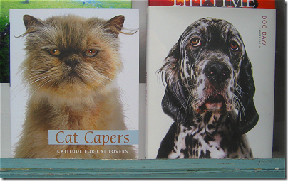 Cat Capers and Dog Days