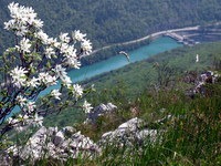 Pogled na hidroelektrarno Solkan