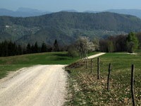 Sadna cesta med Javorom in Jančami