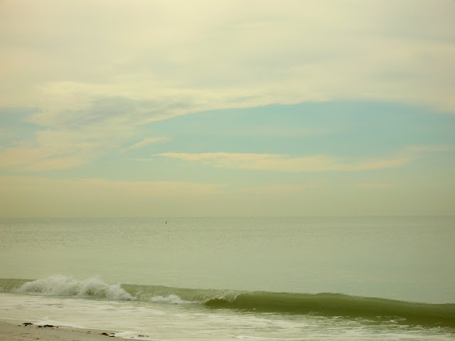 Southwest Florida