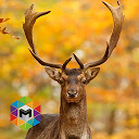Deer Simulator mobile app icon