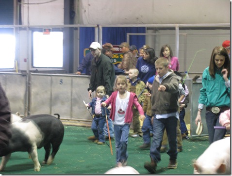 Pig Show with Tal Lineberger