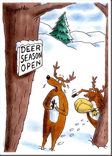 Animal Cartoons 10