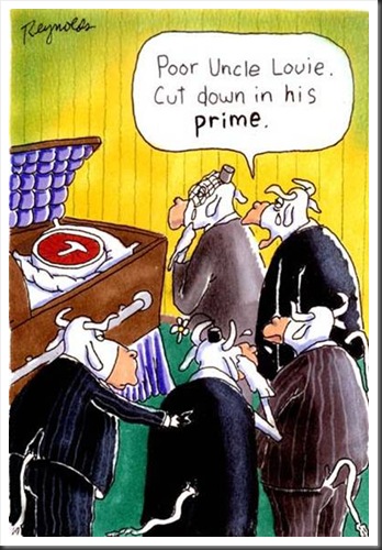 Animal Cartoons 07