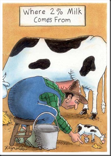 Animal Cartoons 09