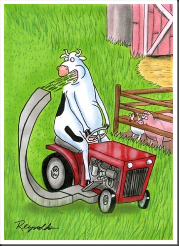 Animal Cartoons 02