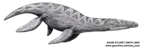 [liopleurodon[4].jpg]