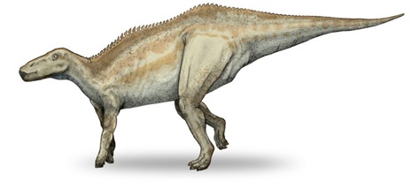 [shantungosaurus[4].jpg]