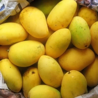 mangoes