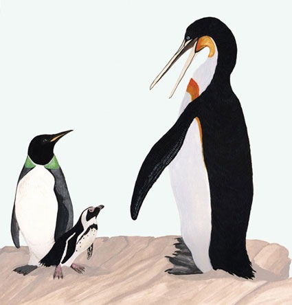 giant-penguin-picture
