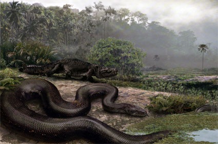 world's-biggest-snake