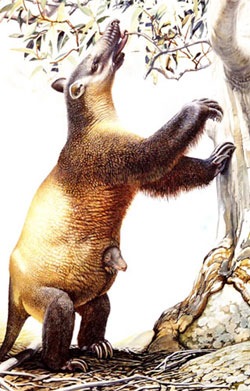 [Tasmanian-megafauna-pictue[4].jpg]