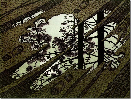 M. C. Escher - puddle