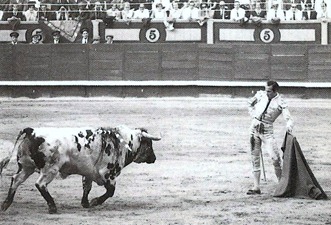 Antoñete toro blanco 001