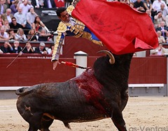 Toros