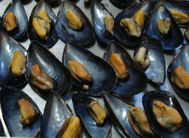 [mussels 1_1_1[3].jpg]
