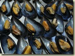 mussels 1_1_1