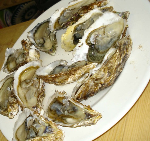 [oysters_1_1[6].jpg]