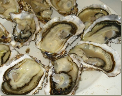 oysters2_1_1