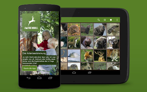 Wilde Tiere und Spuren 2 PRO(圖9)-速報App