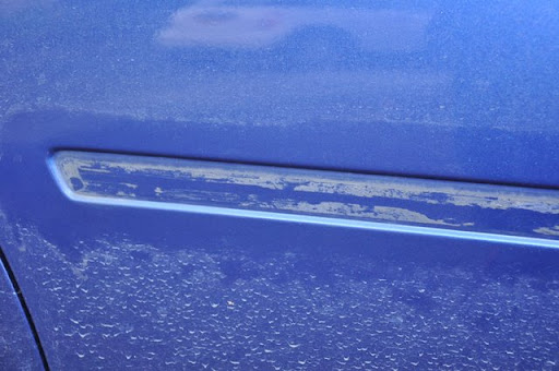 [Image: DSC_1525.JPG]