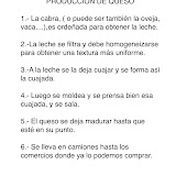 Queso texto