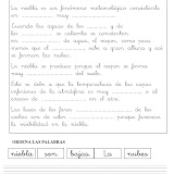 LA NIEBLA-2