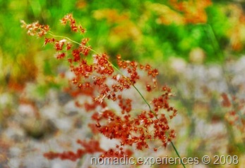 DSC_0176 DSC_0176