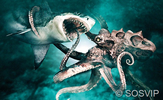 [Octopus-vs.-Shark[8].jpg]
