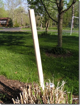 Pipe stake